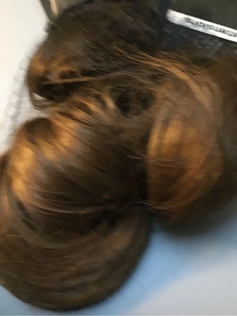 Brown with gold Women’s Hair halo style Extension - Unbranded